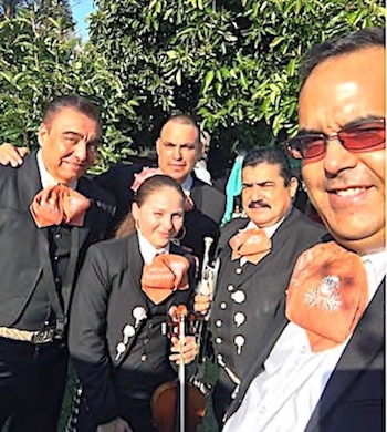 Mariachi Nuevo Guadalajara w/5 Elements Mariachi Nuevo Guadalajara w/5 Elements